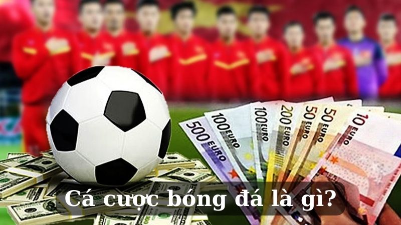 Tìm hiểu cá cược bóng đá