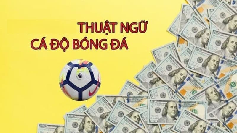 Những thuật ngữ cá độ bóng đá khác